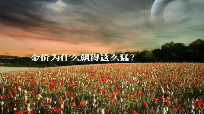 金价为什么飙得这么猛？