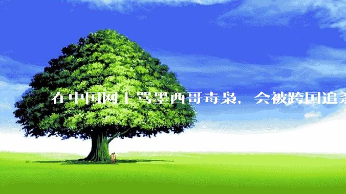 在中国网上骂墨西哥毒枭，会被跨国追杀吗？