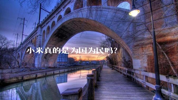 小米真的是为国为民吗？