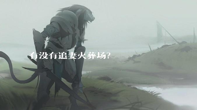有没有追妻火葬场？