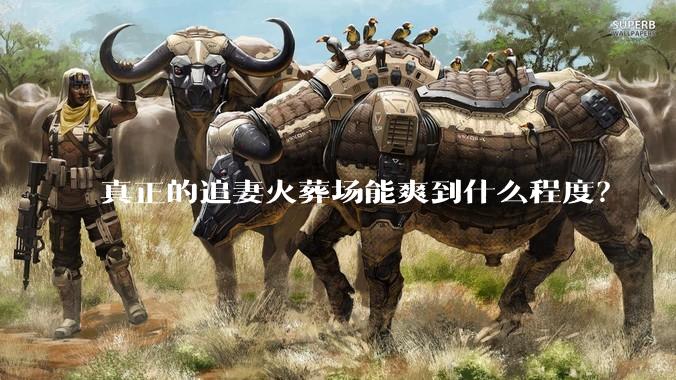 真正的追妻火葬场能爽到什么程度？