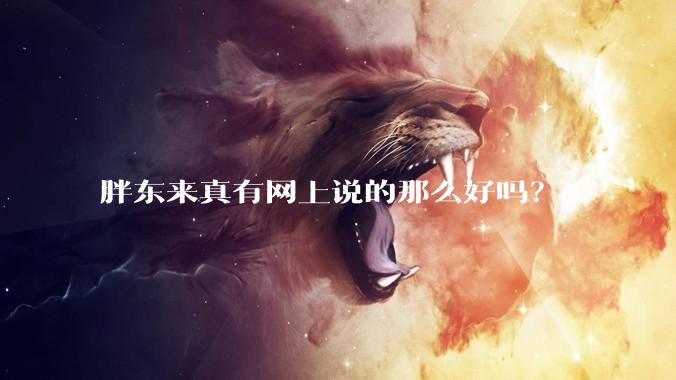 胖东来真有网上说的那么好吗？