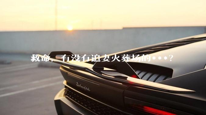 救命，有没有追妻火葬场的***？