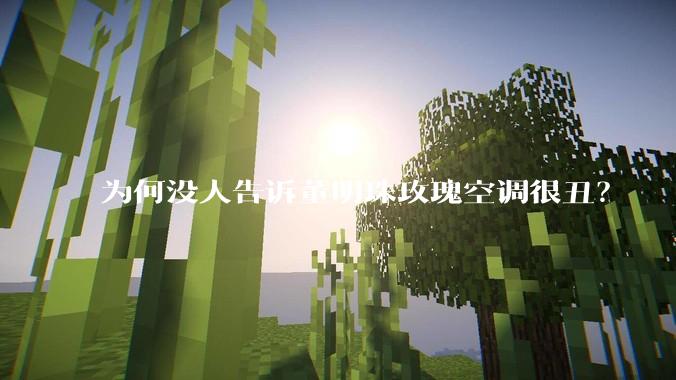 为何没人告诉董明珠玫瑰空调很丑？