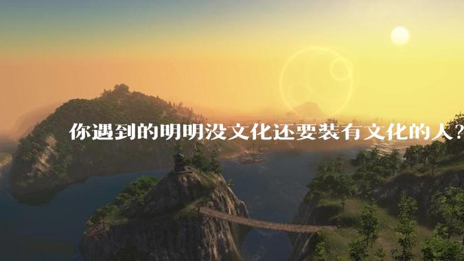 你遇到的明明没文化还要装有文化的人？