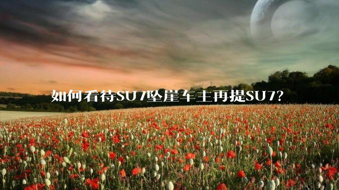 如何看待SU7坠崖车主再提SU7？