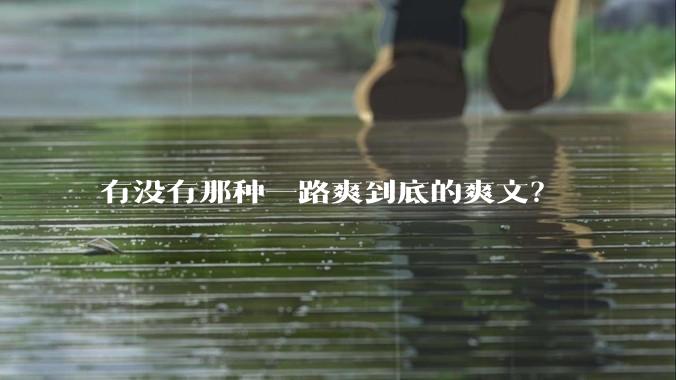 有没有那种一路爽到底的爽文？