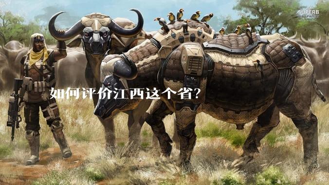如何评价江西这个省？