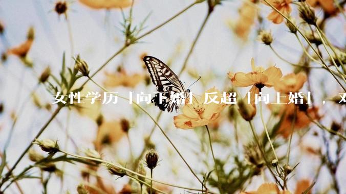 女性学历「向下婚」反超「向上婚」，对生育有何影响？